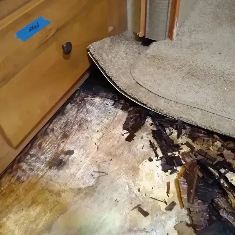 Wood Floor Water Damage in Southside, AR